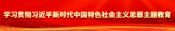 欠操的骚货，干死你学习贯彻习近平新时代中国特色社会主义思想主题教育